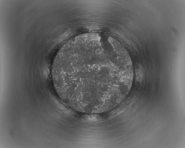 X0000112110618200909011147