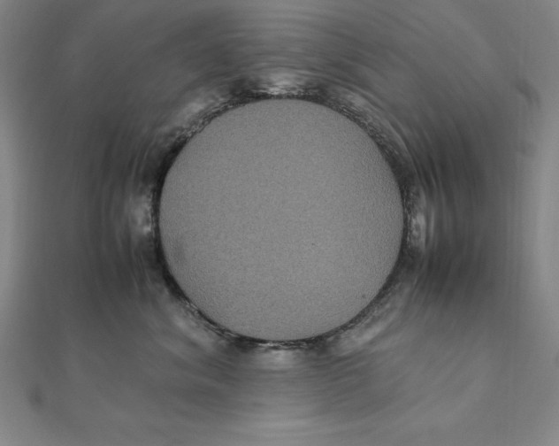 X0000112110620200909011147