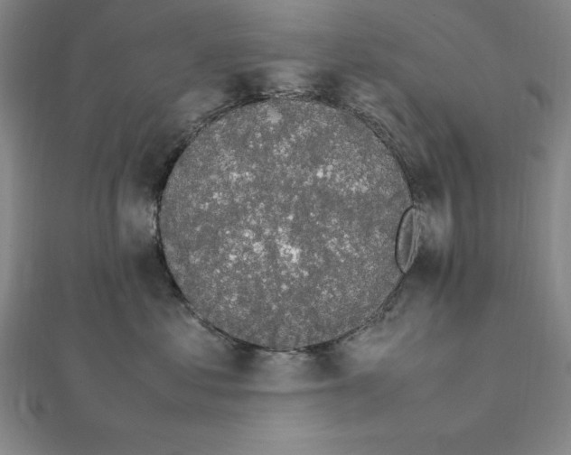X0000112110621200909011147