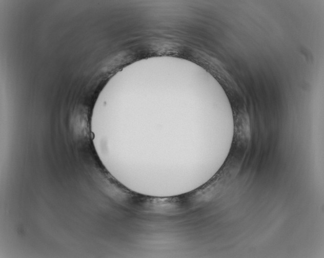 X0000112110622200909011147