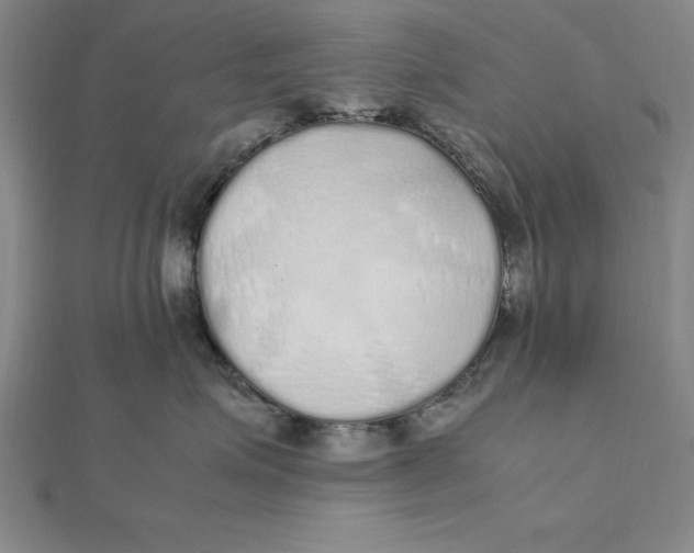 X0000112110623200909011147