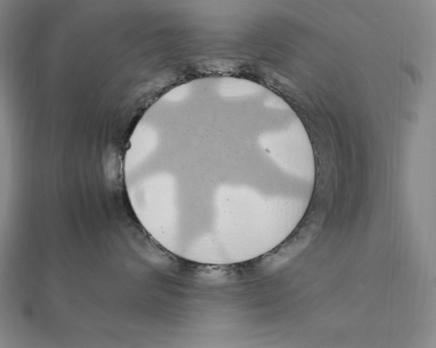 X0000112110624200909011147