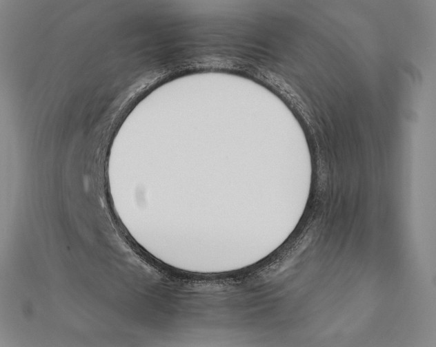X0000112110625200909011146