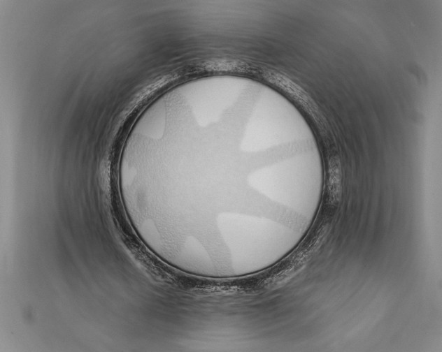 X0000112110626200909011146
