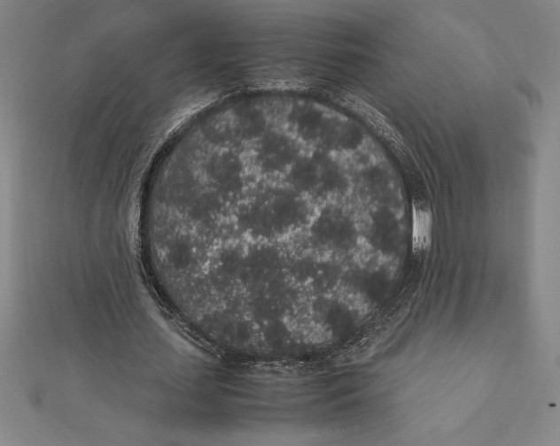 X0000112110627200909011146