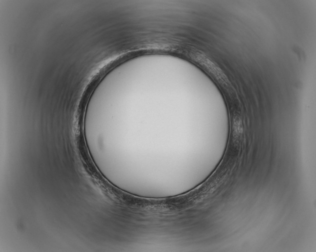 X0000112110628200909011146