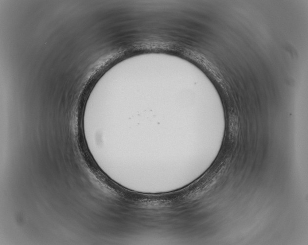 X0000112110629200909011146