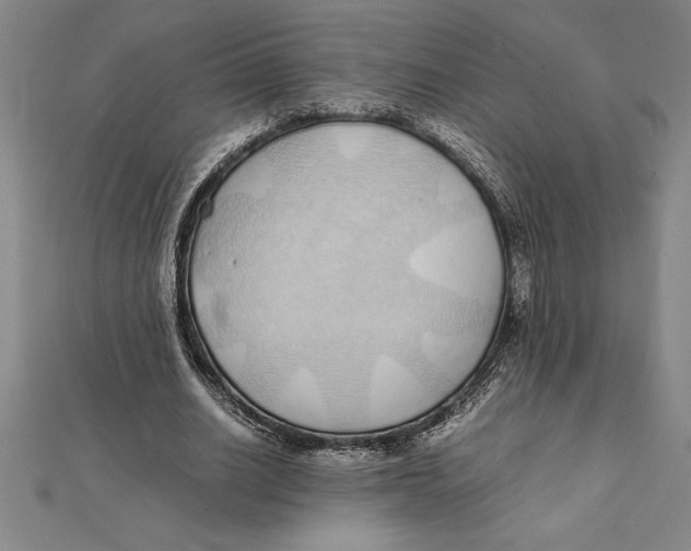 X0000112110630200909011146