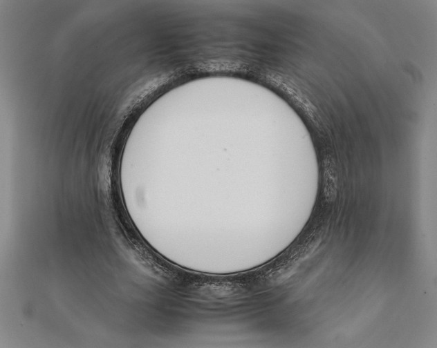 X0000112110631200909011146