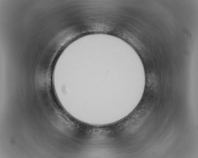 X0000112110632200909011146