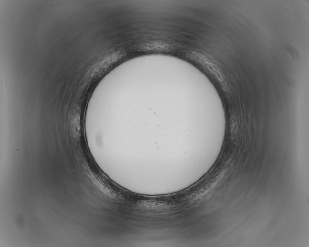 X0000112110633200909011146