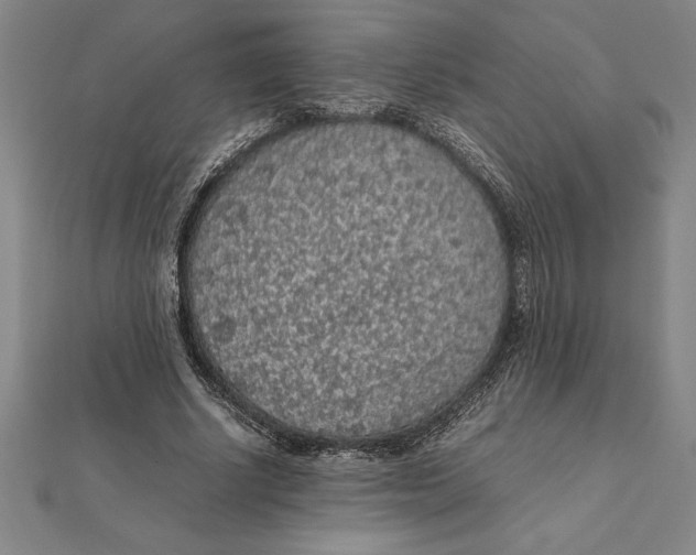 X0000112110634200909011146