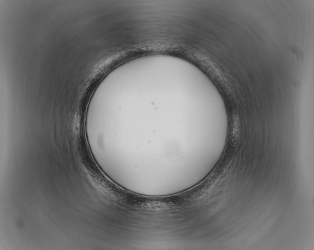 X0000112110636200909011146