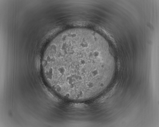 X0000112110637200909011146