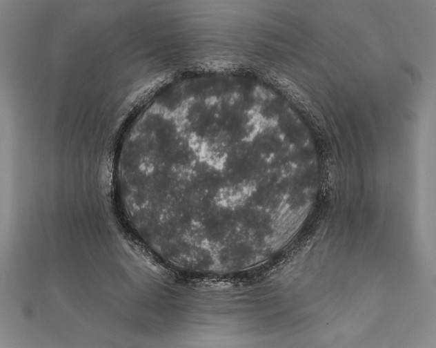 X0000112110640200909011146