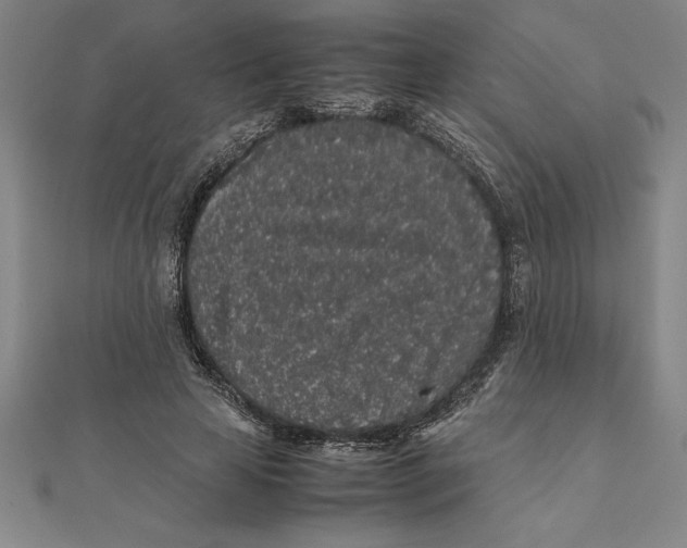 X0000112110641200909011146