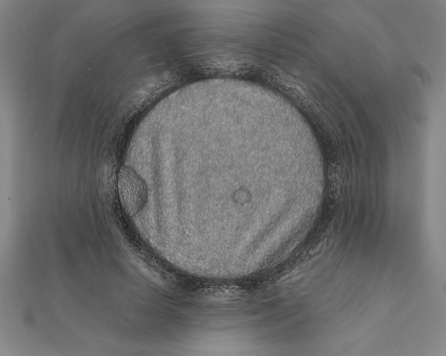 X0000112110642200909011146