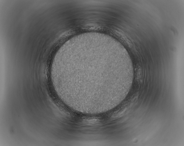 X0000112110643200909011146