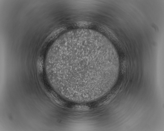 X0000112110644200909011146