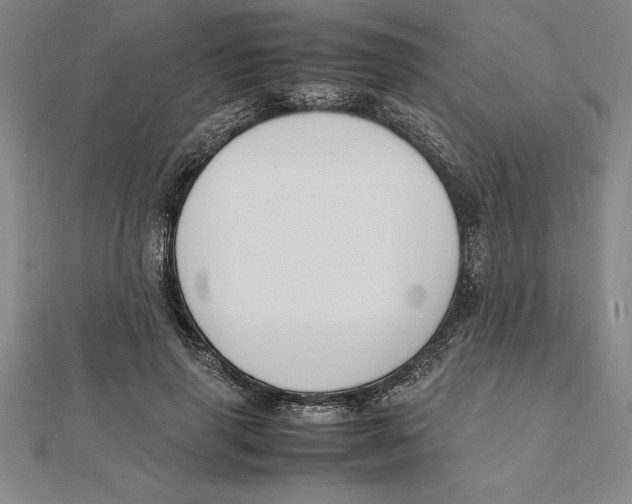 X0000112110645200909011146