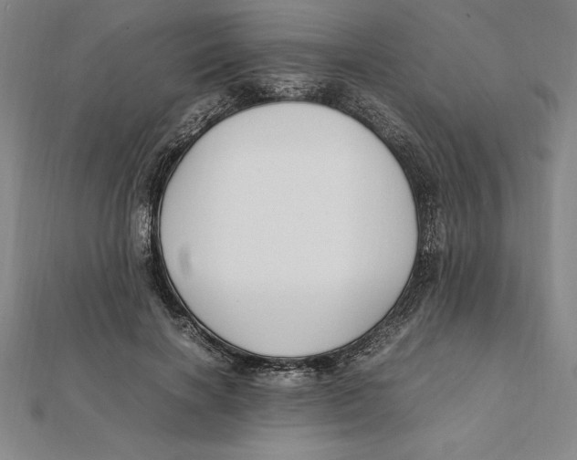 X0000112110646200909011146