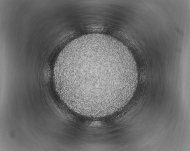 X0000112110647200909011146