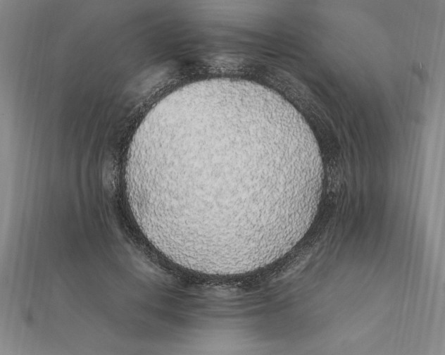X0000112110648200909011146