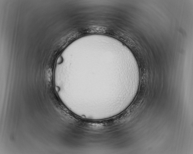 X0000112110649200909011147