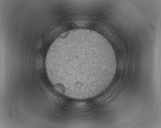 X0000112110651200909011147