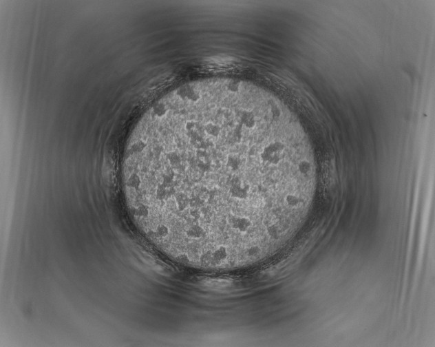 X0000112110653200909011147