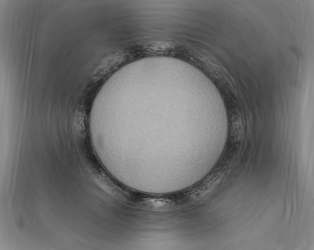 X0000112110654200909011147