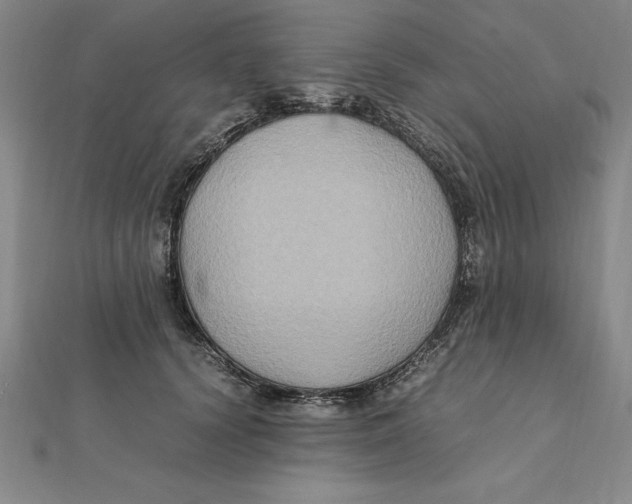 X0000112110656200909011147