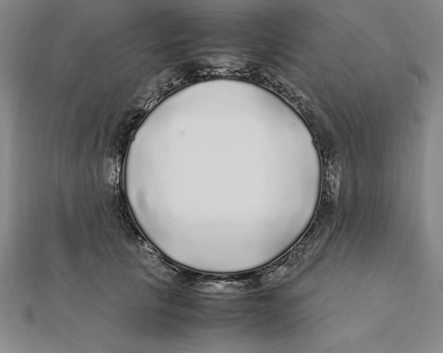 X0000112110657200909011147