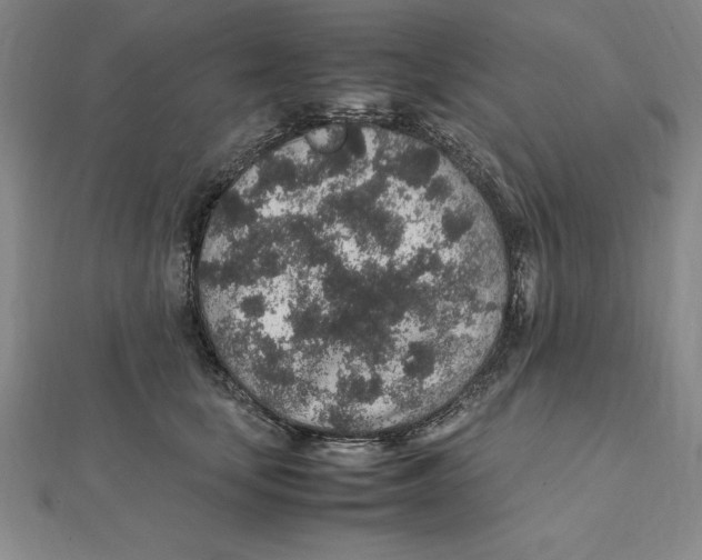 X0000112110659200909011147