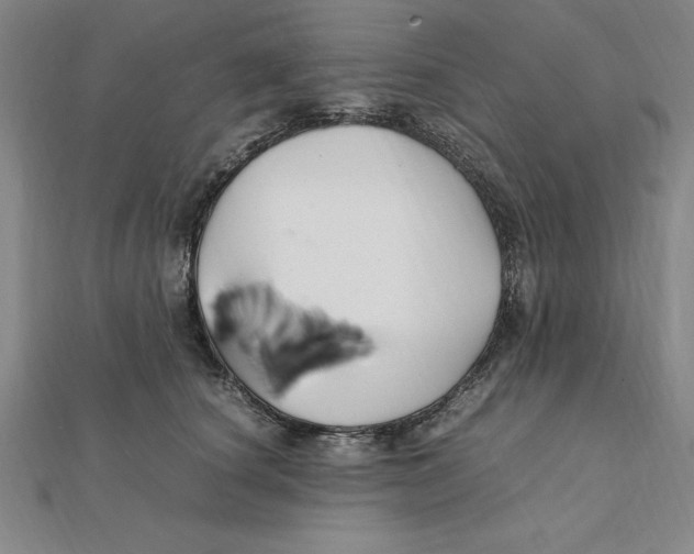 X0000112110660200909011147