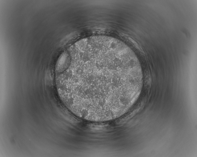 X0000112110661200909011147