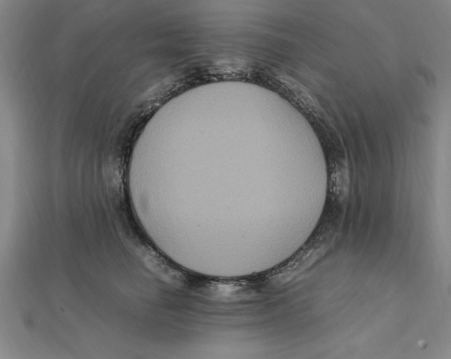 X0000112110662200909011147