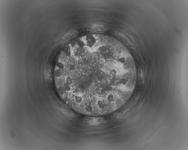 X0000112110663200909011147