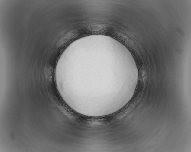 X0000112110664200909011147