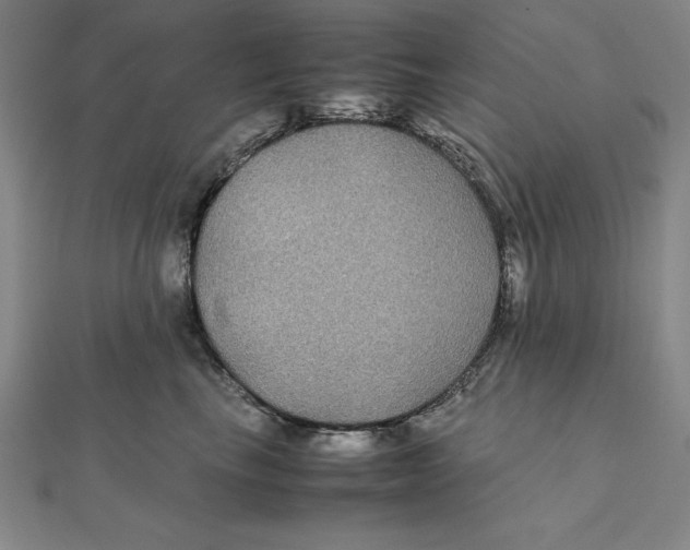 X0000112110665200909011147