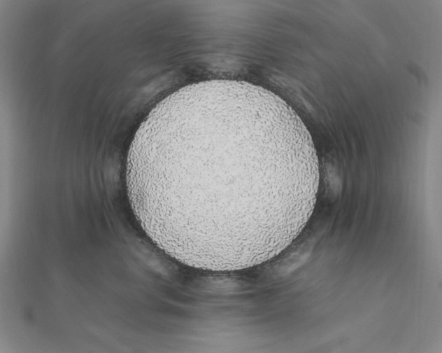 X0000112110668200909011147