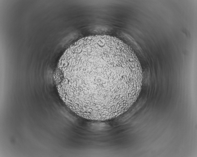 X0000112110669200909011147