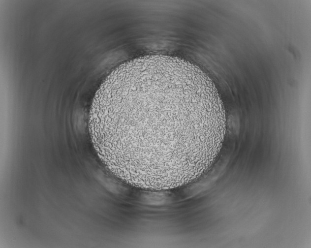 X0000112110671200909011147