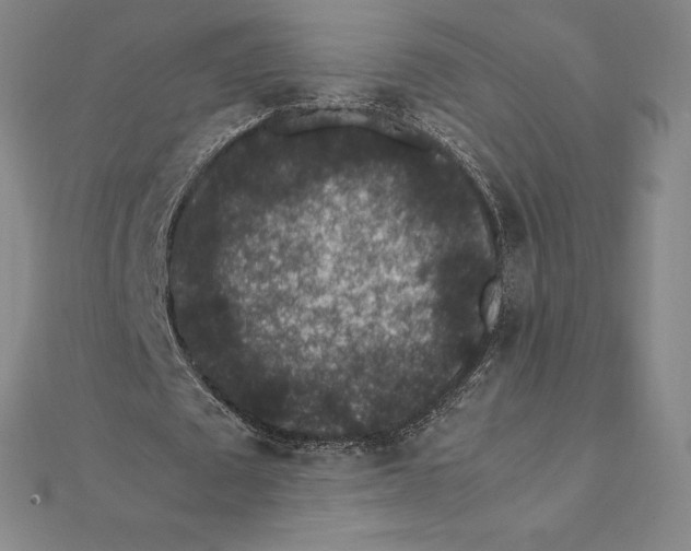 X0000112110673200909011146