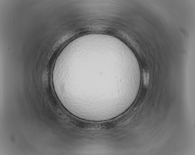 X0000112110675200909011146