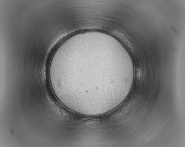 X0000112110676200909011146