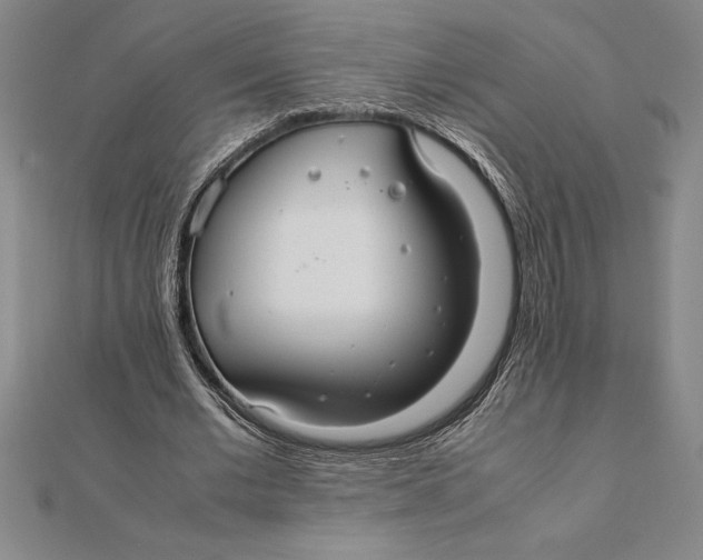 X0000112110677200909011146