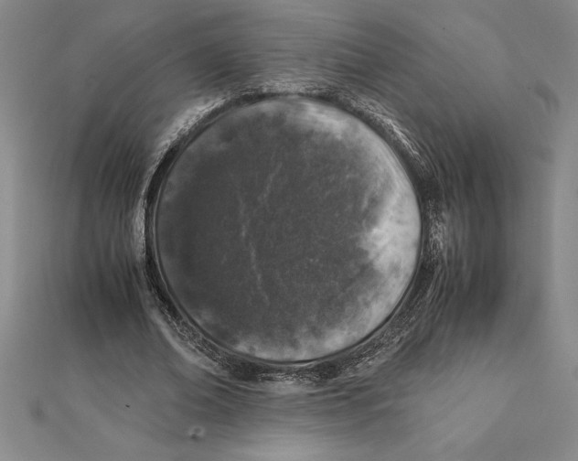 X0000112110678200909011146