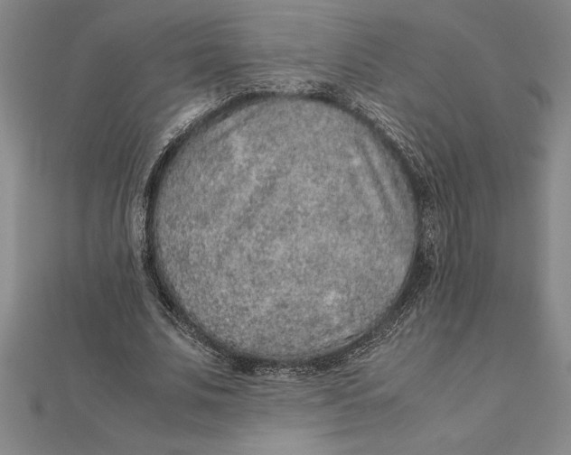 X0000112110679200909011146
