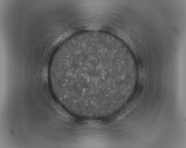 X0000112110681200909011146